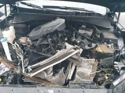 2020 Kia Sorento KNAPS811DLA616574 VIN:KNAPS811DLA616574