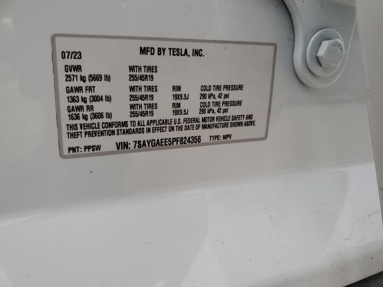 2023 TESLA MODEL Y  VIN:7SAYGAEE5PF824356