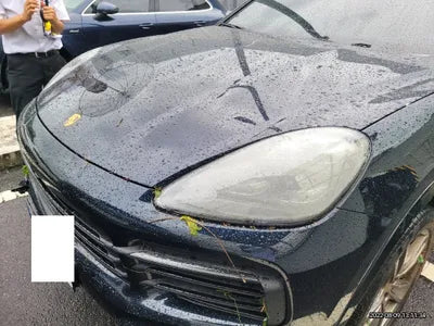 2021 Porsche Cayenne WP1BE29Y5MDA71352 VIN:WP1BE29Y5MDA71352