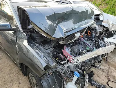 2019 Hyundai Kona KMHK381GFKU007922 VIN:KMHK381GFKU007922