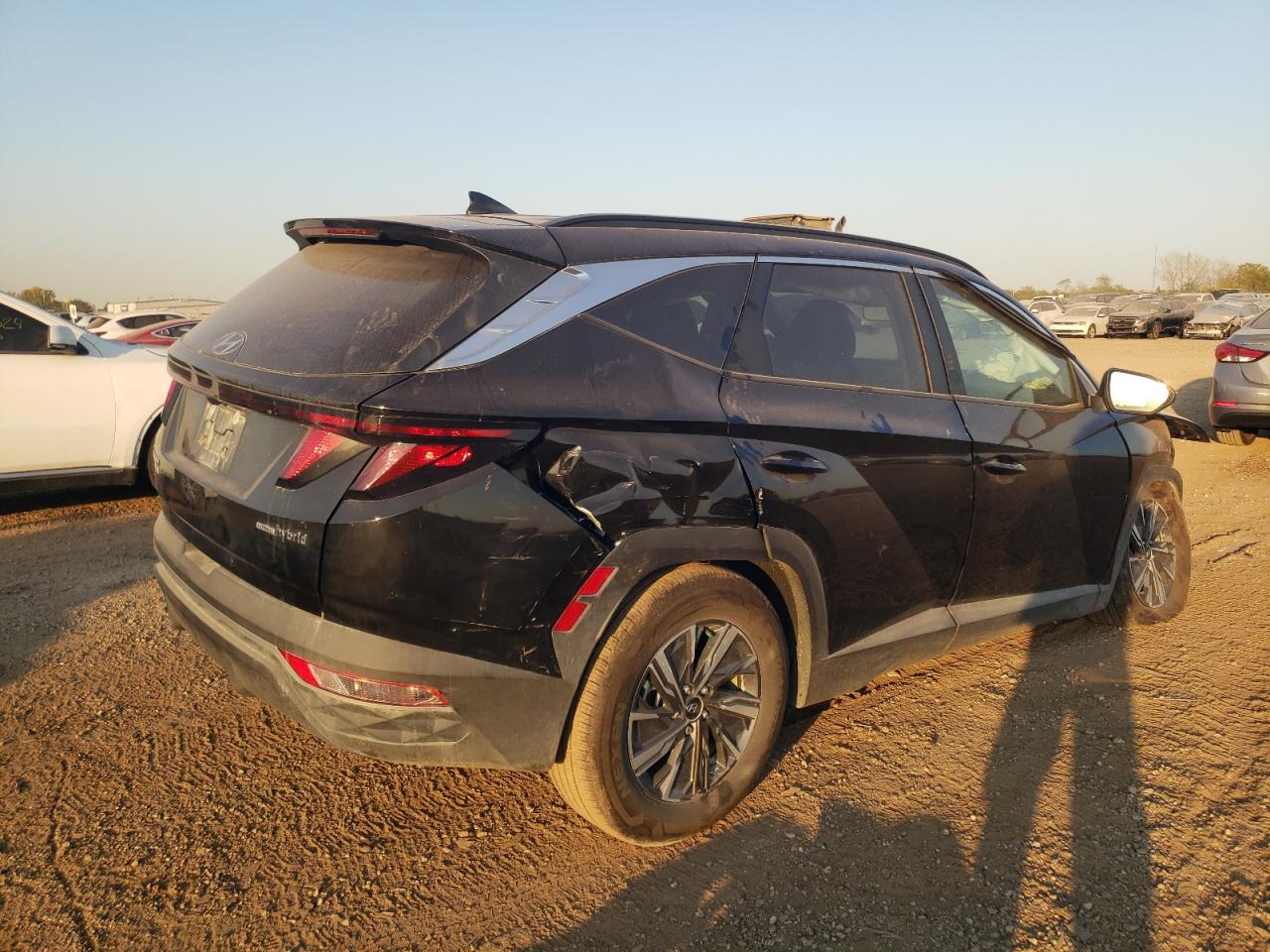 2024 HYUNDAI TUCSON BLUE VIN:KM8JBCD18RU158753