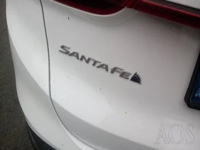 2021 Hyundai Santa FE KMHS381HGMU336284 VIN:KMHS381HGMU336284