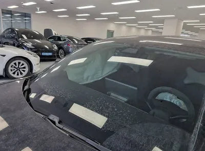 2021 Tesla Model 3 600KM5YJ3E1EB6MF8 VIN:600KM5YJ3E1EB6MF8