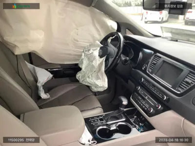 2019 Kia Carnival KNAMB81ABKS607118 VIN:KNAMB81ABKS607118