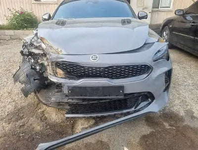 2021 Kia Stinger KNAE351DDMS093636 VIN:KNAE351DDMS093636
