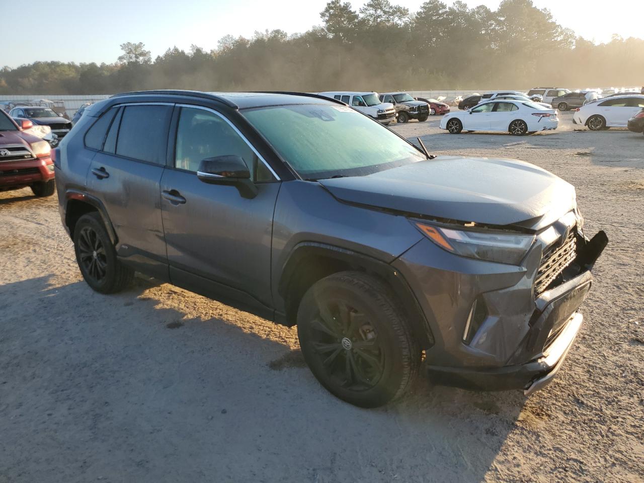 2023 TOYOTA RAV4 XSE VIN:JTME6RFV8PD537116
