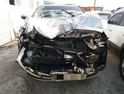 2017 Kia Sorento KNAPS81ABJA422175 VIN:KNAPS81ABJA422175