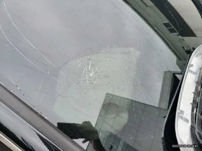 2019 BMW 430 WBA4Z110XKEF34947 VIN:WBA4Z110XKEF34947