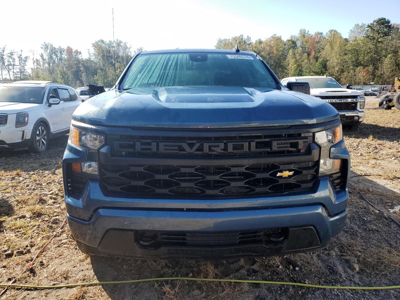 2024 CHEVROLET SILVERADO K1500 CUSTOM VIN:1GCPDBEK0RZ235466