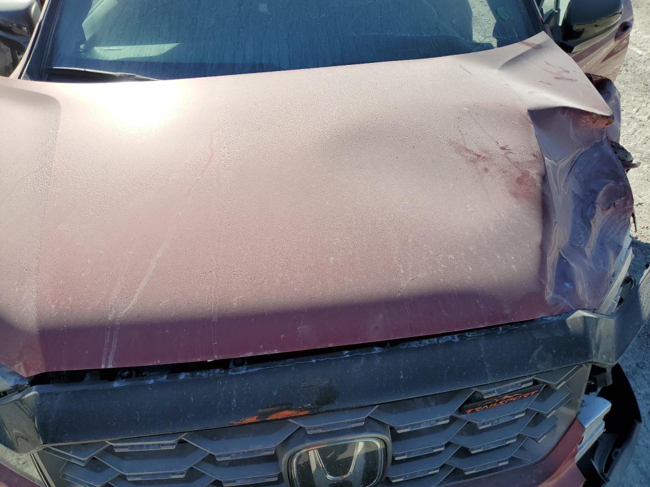 2023 HONDA PASSPORT TRAIL SPORT VIN:5FNYF8H60PB000729