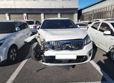 2019 Kia Sorento KNAPK81BBKA548471 VIN:KNAPK81BBKA548471