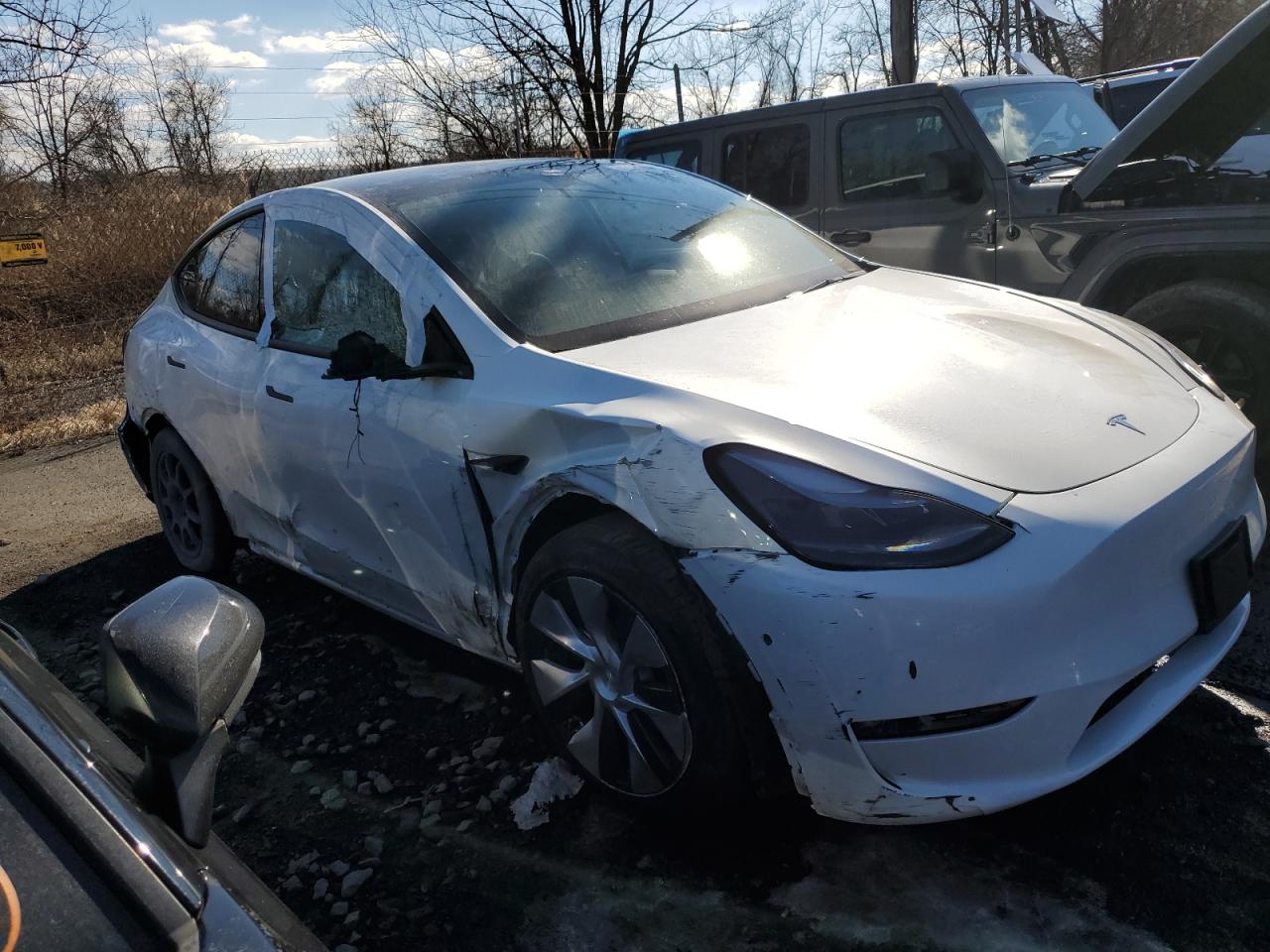 2023 TESLA MODEL Y  VIN:7SAYGDEE5PF785124