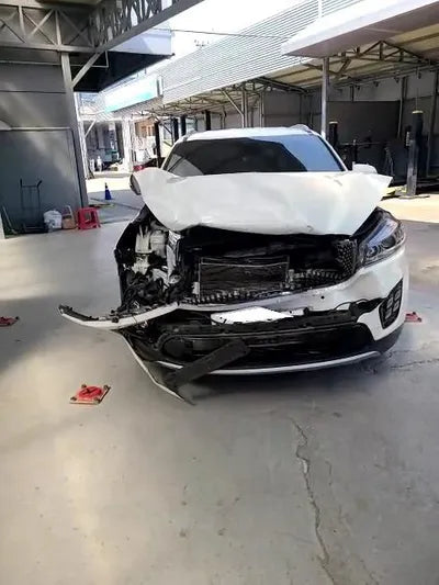 2017 Kia Sorento KNAPH81ABHA377346 VIN:KNAPH81ABHA377346