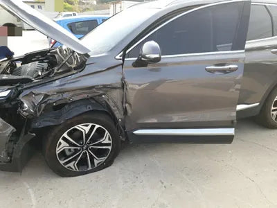 2019 Hyundai Santa FE KMHS381BBLU194994 VIN:KMHS381BBLU194994