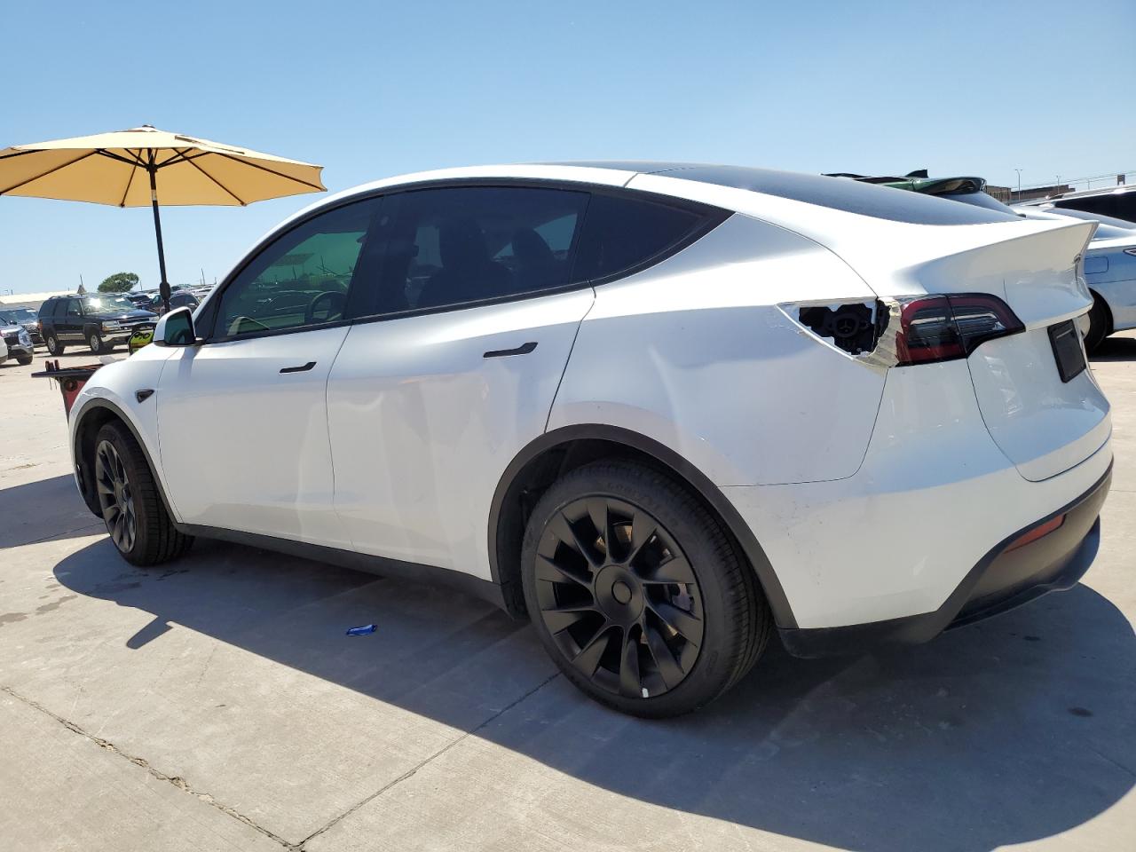 2023 TESLA MODEL Y  VIN:7SAYGDEE3PF603971