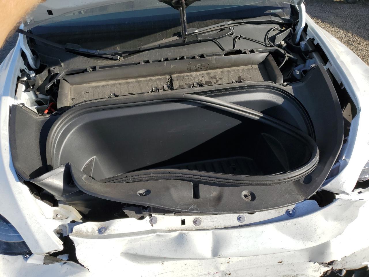 2023 TESLA MODEL Y  VIN:7SAYGDEE5PA130152