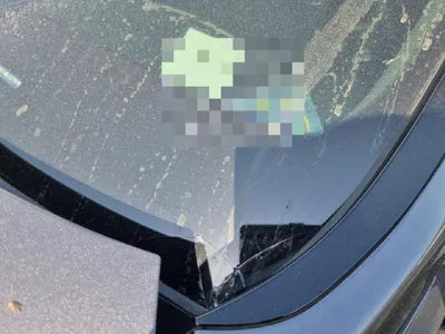 2020 Hyundai Santa FE KMHS381ABLU279559 VIN:KMHS381ABLU279559