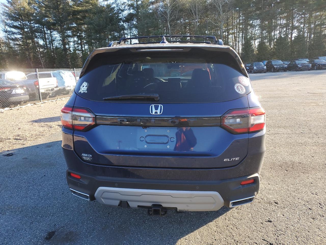 2024 HONDA PILOT ELITE VIN:5FNYG1H81RB047471