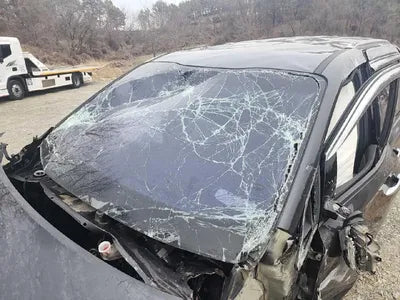 2017 Kia Carnival VIN: