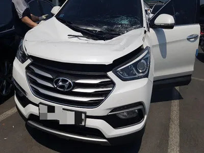 2016 Hyundai Santa FE KMHSW81UBGU635539 VIN:KMHSW81UBGU635539