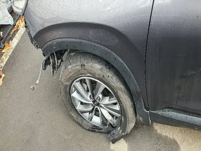 2019 Hyundai Santa FE KMHS281BBKU160055 VIN:KMHS281BBKU160055