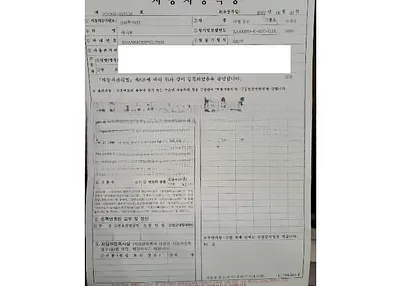 2023 Kia Carnival KNANE813BPS217004 VIN:KNANE813BPS217004