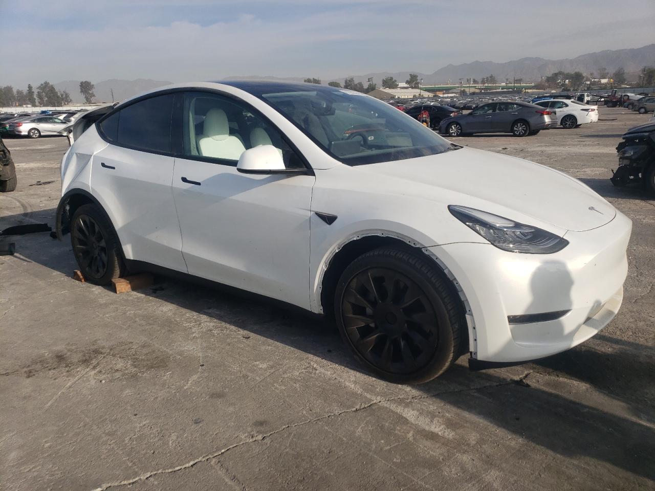 2023 TESLA MODEL Y  VIN:7SAYGDEE4PA125735