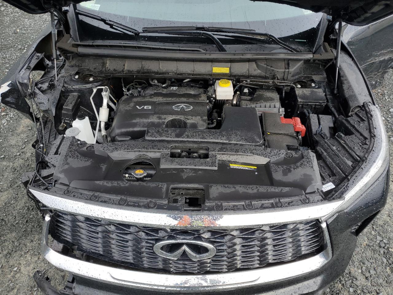 2024 INFINITI QX60 PURE VIN:5N1DL1ESXRC354351