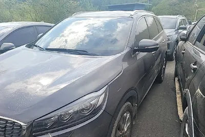 2019 Kia Sorento KNAPS81BBKA499609 VIN:KNAPS81BBKA499609