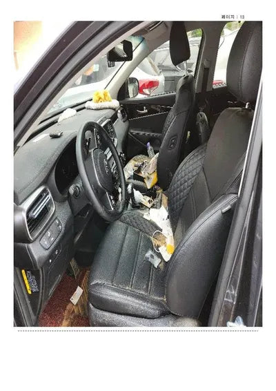 2019 Kia Sorento KNAPH81BDLA596979 VIN:KNAPH81BDLA596979