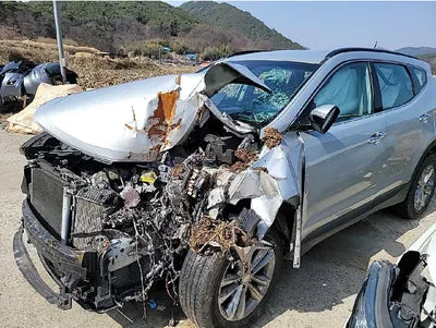 2016 Hyundai Santa FE KMHSW81UDGU594373 VIN:KMHSW81UDGU594373