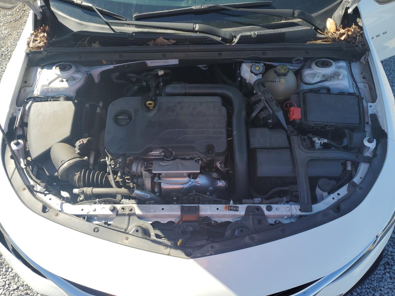 2023 CHEVROLET MALIBU LS VIN:1G1ZC5ST2PF159962