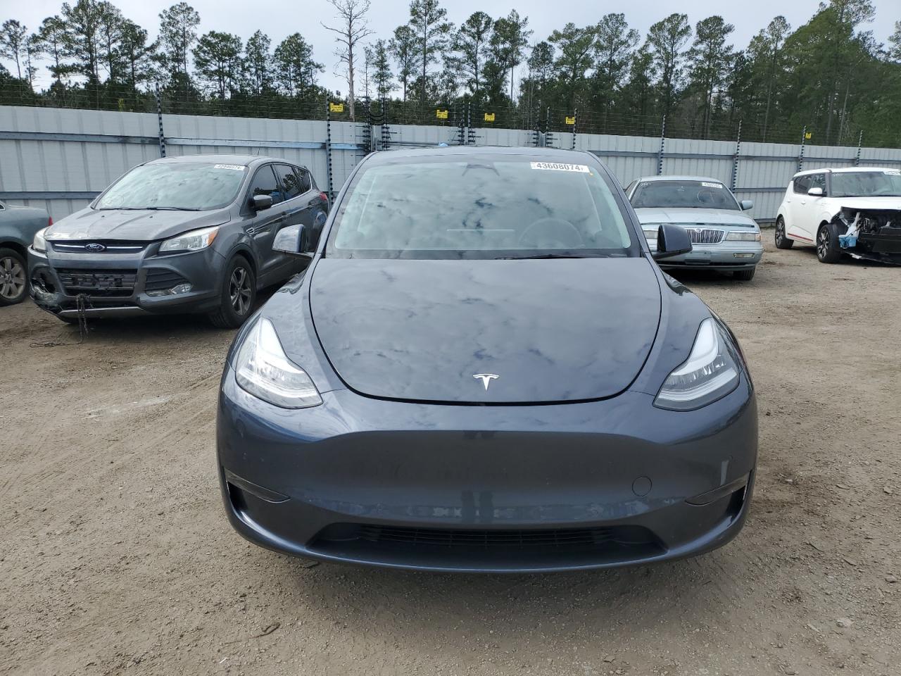 2022 TESLA MODEL Y  VIN:7SAYGAEE6NF570055