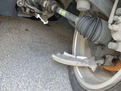 2019 Honda Accord VIN: