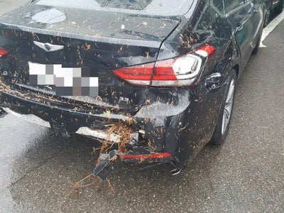 2020 Genesis G80 VIN: