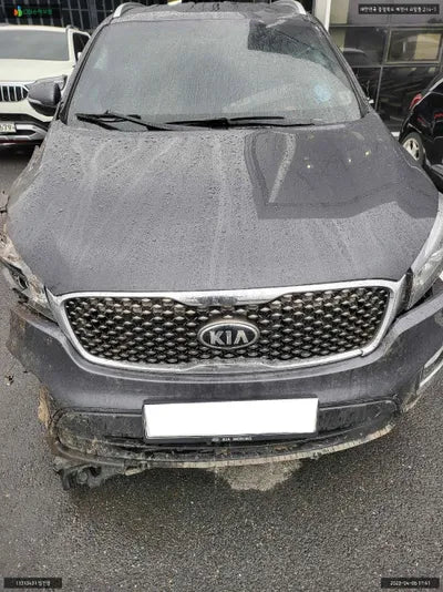 2016 Kia Sorento KNAPS81ABHA302496 VIN:KNAPS81ABHA302496