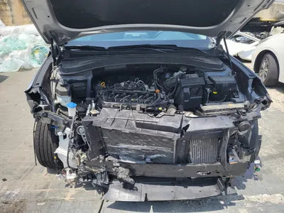 2020 Hyundai Santa FE KMHS281BDLU303838 VIN:KMHS281BDLU303838