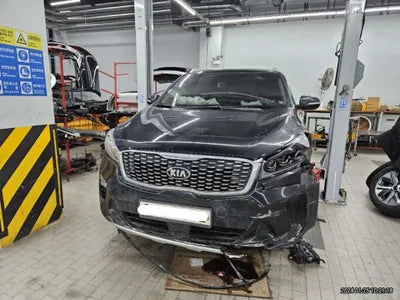 2019 Kia Sorento KNAPS81BDKA479026 VIN:KNAPS81BDKA479026