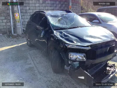 2018 Hyundai Kona KMHK3816GJU254429 VIN:KMHK3816GJU254429