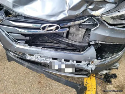 2015 Hyundai Santa FE KMHSW81UBFU480362 VIN:KMHSW81UBFU480362