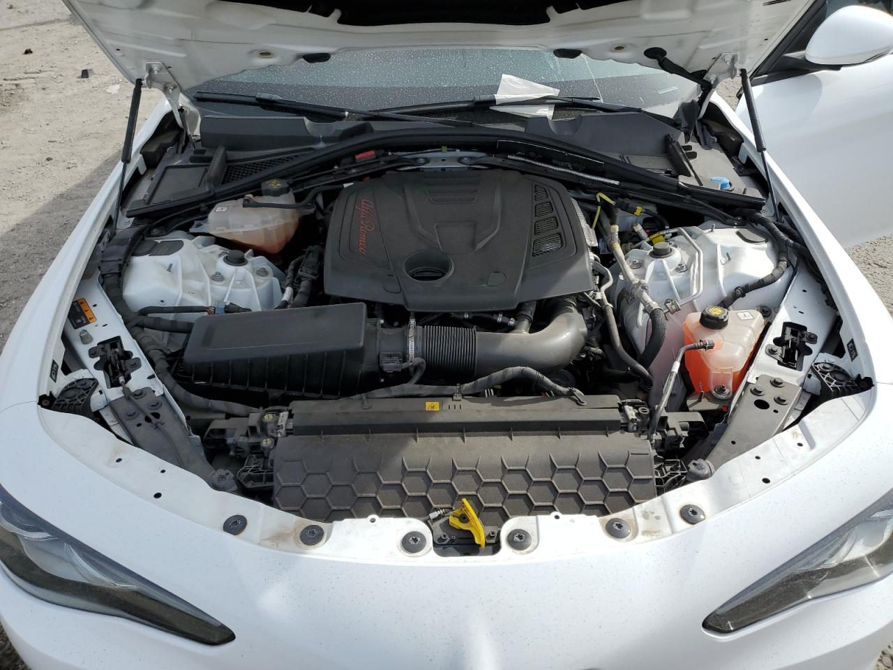 2022 ALFA ROMEO GIULIA  VIN:ZARFAMAN2N7656343