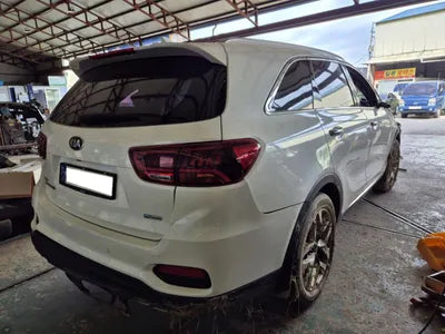 2019 Kia Sorento KNAPH81BBLA573070 VIN:KNAPH81BBLA573070