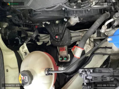2020 Kia Carnival KNANC81BBMS004429 VIN:KNANC81BBMS004429