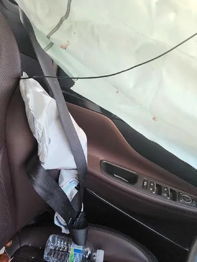 2019 Hyundai Santa FE KMHS381ADKU074587 VIN:KMHS381ADKU074587