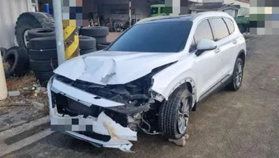 2018 Hyundai Santa FE 1KMHSW81UBJU81533 VIN:1KMHSW81UBJU81533