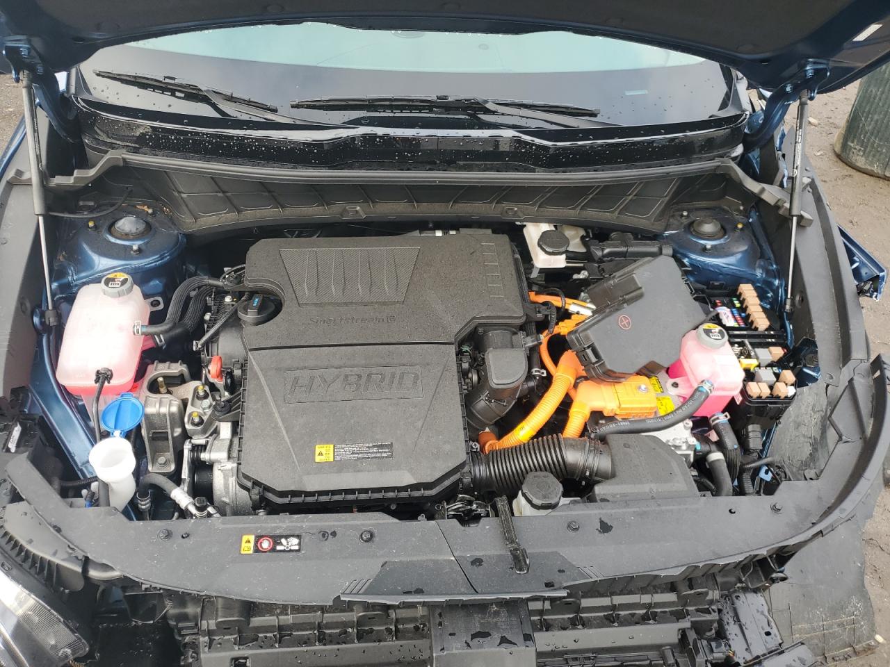 2024 KIA NIRO EX VIN:KNDCR3LE3R5131340