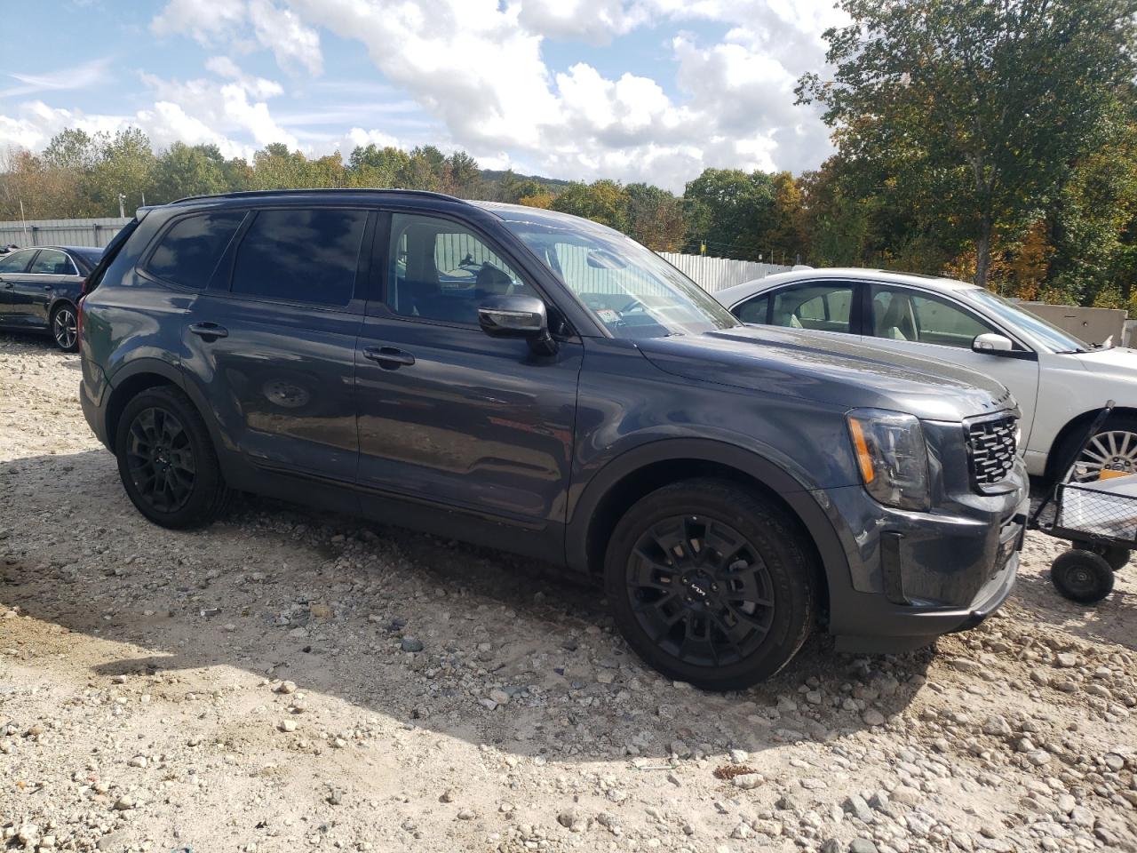 2022 KIA TELLURIDE SX VIN:5XYP5DHCXNG310678