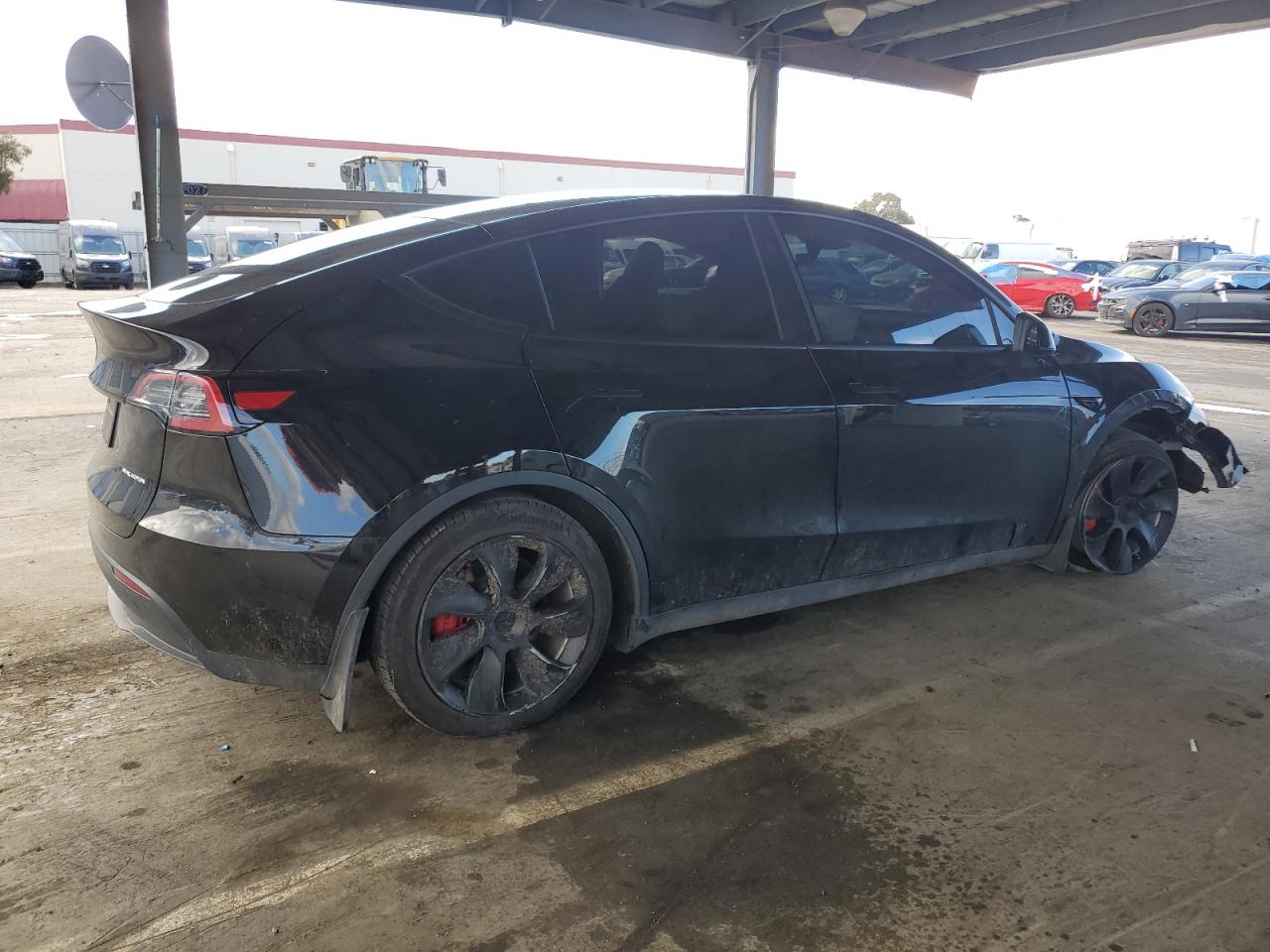 2023 TESLA MODEL Y  VIN:7SAYGDEE3PF938230