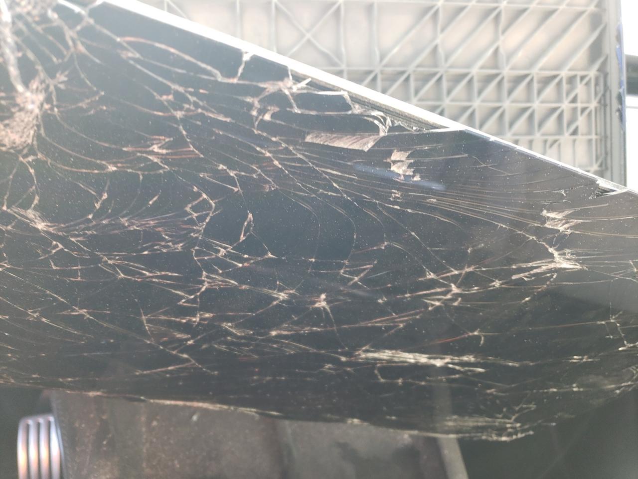 2023 TESLA MODEL S  VIN:5YJSA1E56PF513152