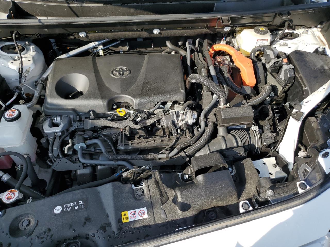 2023 TOYOTA RAV4 XLE VIN:JTMRWRFV4PD187260